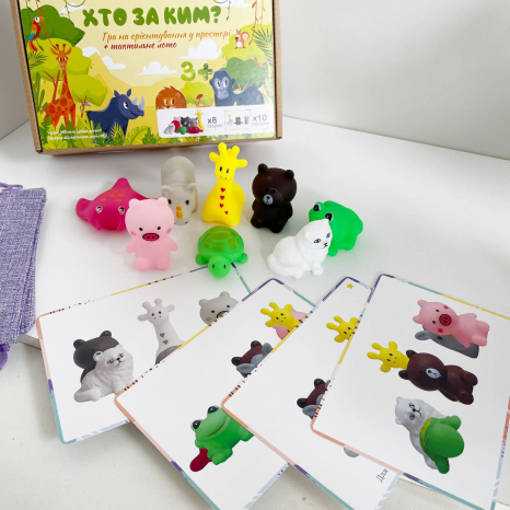 Розвиваюча гра "Хто за ким", MMT-035