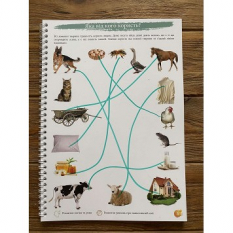 Багаторазовий зошит "Логіка та навколишній світ" для дітей 2-3 років
