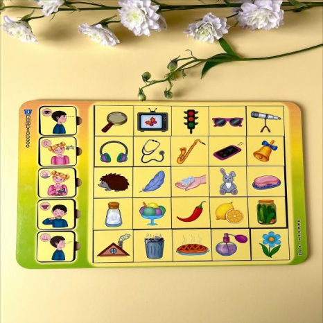 Сортер - класифікатор асоціації "Органи чуття", Ань-Янь, ПСД208