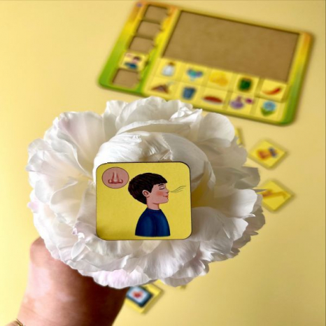 Сортер - класифікатор асоціації "Органи чуття", Ань-Янь, ПСД208