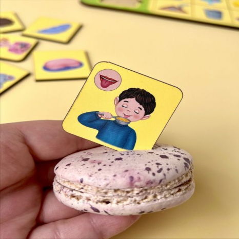 Сортер - класифікатор асоціації "Органи чуття", Ань-Янь, ПСД208