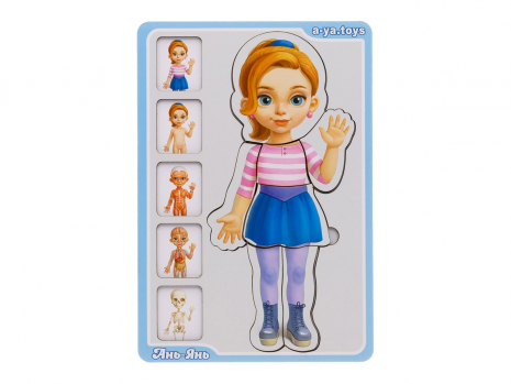 Сортер-пазл "Анатомія людини - дівчинка" Ань-Янь. ПСФ025