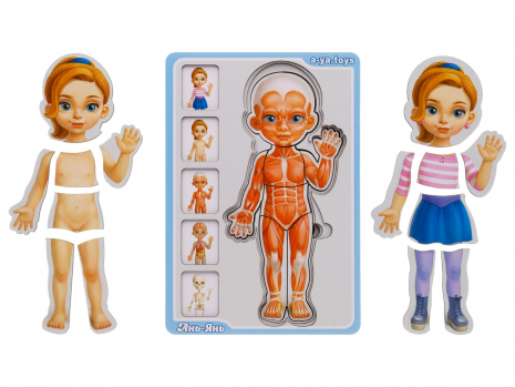 Сортер-пазл "Анатомія людини - дівчинка" Ань-Янь. ПСФ025