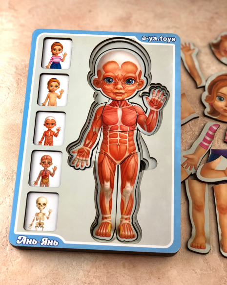 Сортер-пазл "Анатомія людини - дівчинка" Ань-Янь. ПСФ025