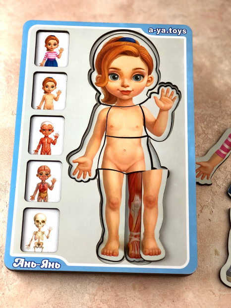 Сортер-пазл "Анатомія людини - дівчинка" Ань-Янь. ПСФ025