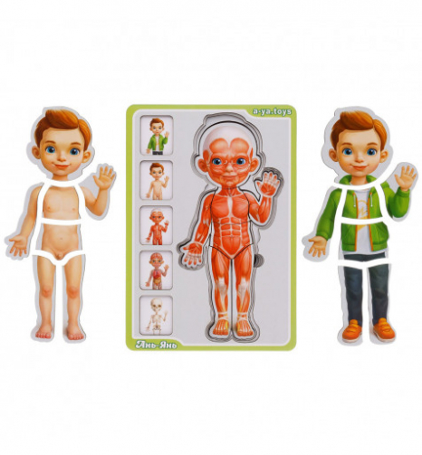 Сортер-пазл "Анатомія людини - хлопчик" Ань-Янь. ПСФ026