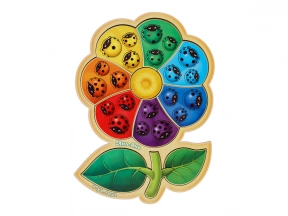 Сортер з картками "Квітка-семибарвиця-2" Ань-Янь. ПСФ039