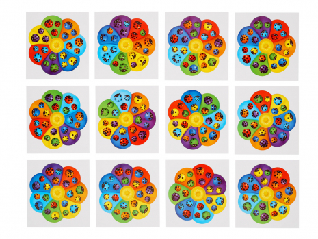 Сортер з картками "Квітка-семибарвиця-2" Ань-Янь. ПСФ039