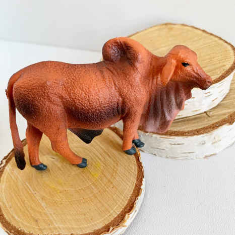 Фігурки тварин Свійські тварини Зебу Q9899-ZJ38 в індивідуальному пакуванні (ціна за 1 шт)