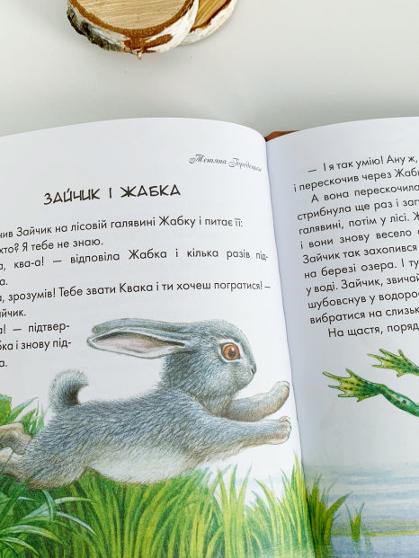 Дитяча література Диво у долоньках (укр) Ранок Р137006У