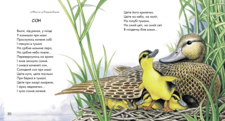 Дитяча літерату : Жовтий гостинець (укр) Ранок Р137007У