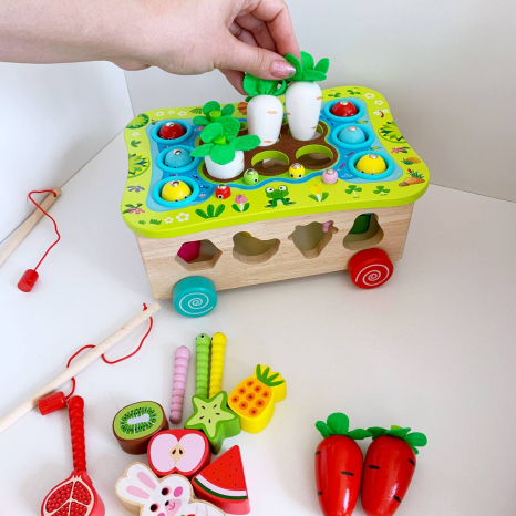 Дитяча іграшка - каталка 3 в 1: сортер, магнітна риболовля, міні - город