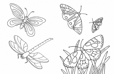 Велика книга розмальовок: Тварини. Ранок