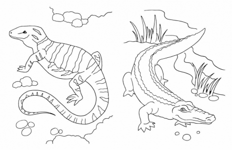 Велика книга розмальовок: Тварини. Ранок