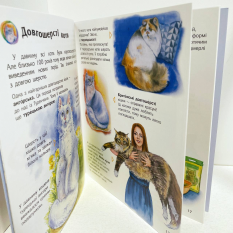 Енциклопедія дошкільника (нова) : Коти (у)(94.9)