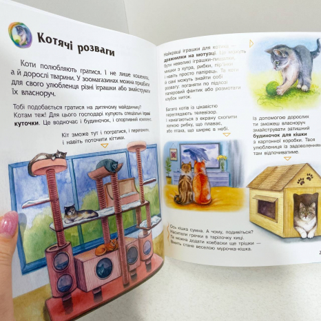 Енциклопедія дошкільника (нова) : Коти (у)(94.9)