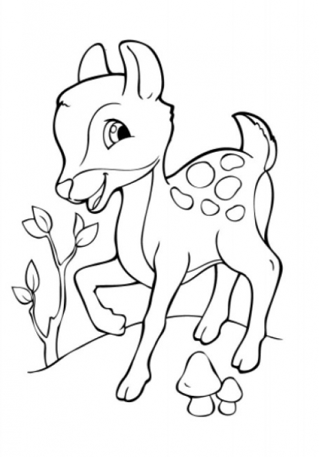 Розмальовка для малят. Подивись і розфарбуй : Тваринки (укр) С628008У Ранок