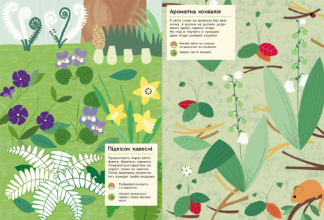 Моя книга природи : У лісі (з наліпками) укр Ранок