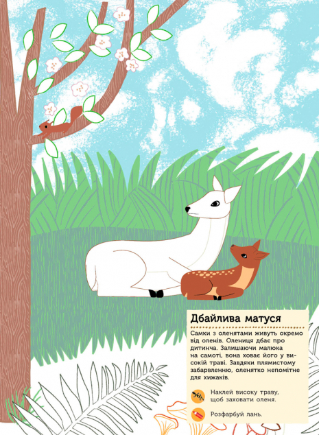 Моя книга природи : Тварини лісу (з наліпками) укр Ранок