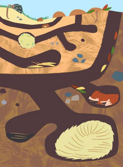 Моя книга природи : Тварини лісу (з наліпками) укр Ранок