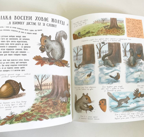 Чудеса вокруг : Маленькие чудеса природы С902272У