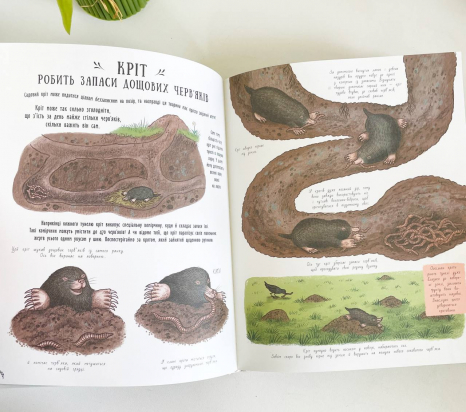 Чудеса вокруг : Маленькие чудеса природы С902272У