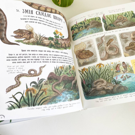 Чудеса вокруг : Маленькие чудеса природы С902272У