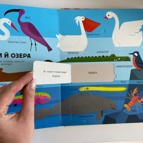 Большая подарочная книга с мягкой обложкой с окошками: Животные Ранок С902426У