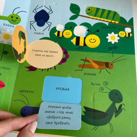 Большая подарочная книга с мягкой обложкой с окошками: Животные Ранок С902426У