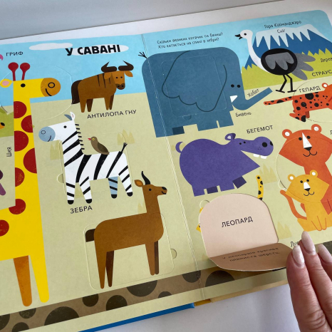 Большая подарочная книга с мягкой обложкой с окошками: Животные Ранок С902426У