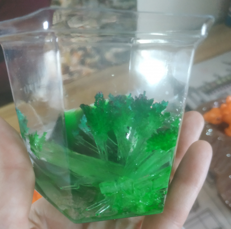 Набір для дослідів Зростаючі кристали Динозаври SD558