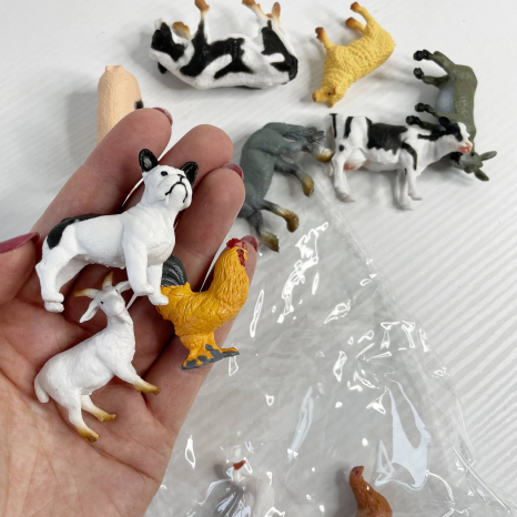Фігурки домашніх тварин, набір 12 шт,TBS062