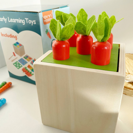 Дерев'яна багатофункціональна іграшка Монтессорі 5 в 1: риболовля, вкладиші, сортер WD13016