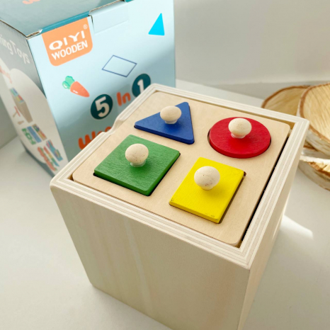 Дерев'яна багатофункціональна іграшка Монтессорі 5 в 1: риболовля, вкладиші, сортер WD13016