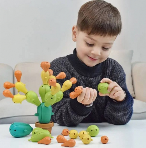 Розвиваюча іграшка Монтессорі  балансир Кактус XQS2060A