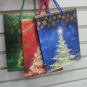 Подарунковий пакет XY1334S