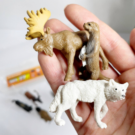 Набір фігурок "Екзотичних тварини" у футлярі, YJ 839